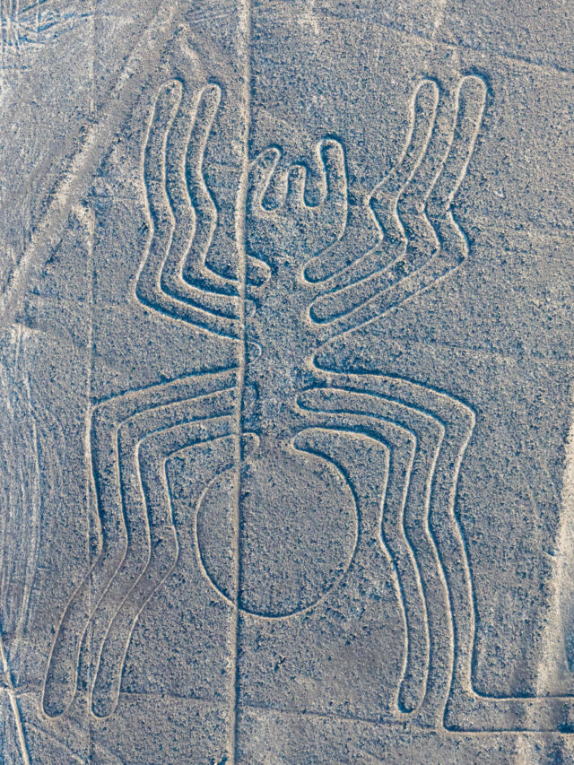 The Nazca Lines